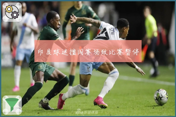 印度球迷擅闯赛场致比赛暂停