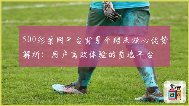 500彩票网平台背景介绍及核心优势解析：用户高效体验的首选平台