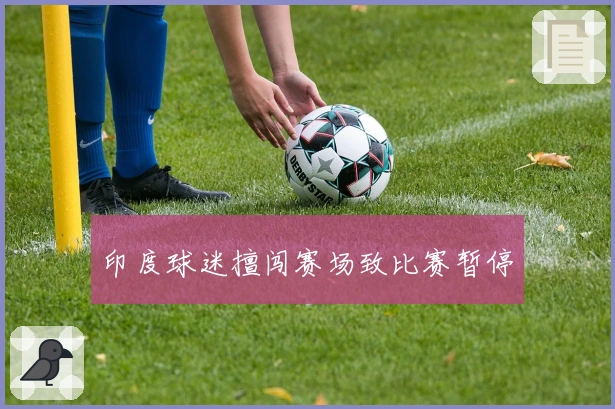 印度球迷擅闯赛场致比赛暂停